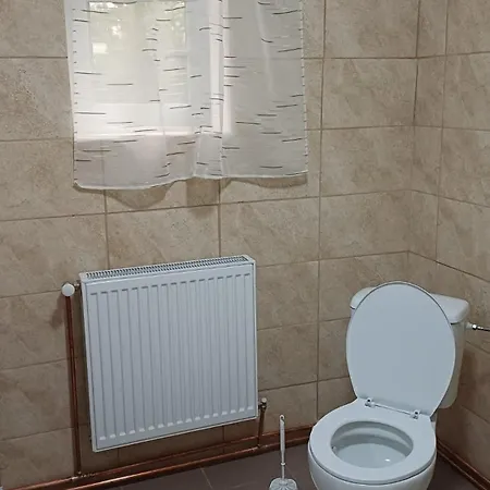 شاليه Casa Dorina تيميشورا